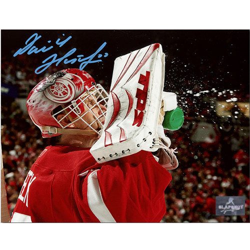 Dominik Hasek Detroit Red Wings Autographed 8X10 Photo