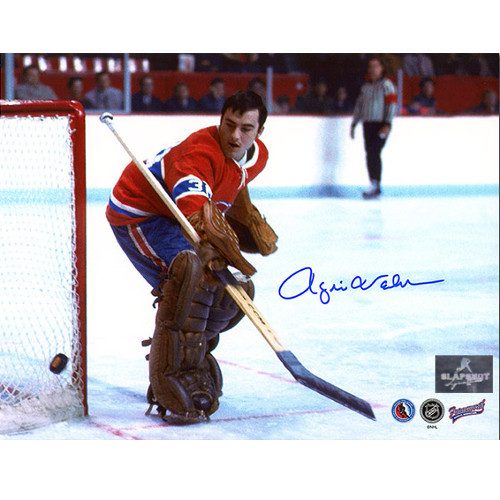 Rogie Vachon Montreal Canadiens Signed Hockey Goalie 8x10 Photo