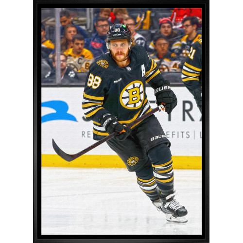 David Pastrnak Boston Bruins Framed 20x29 Canvas Auction