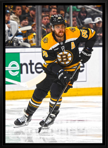 David Pastrnak Boston Bruins Framed 20x29 Canvas Auction